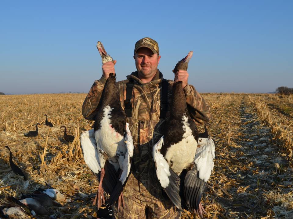 Spur Winged Goose Hunting Africa.jpg